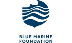 Blue Marine Foundation logo