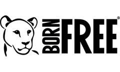 Born Free Foundation logo