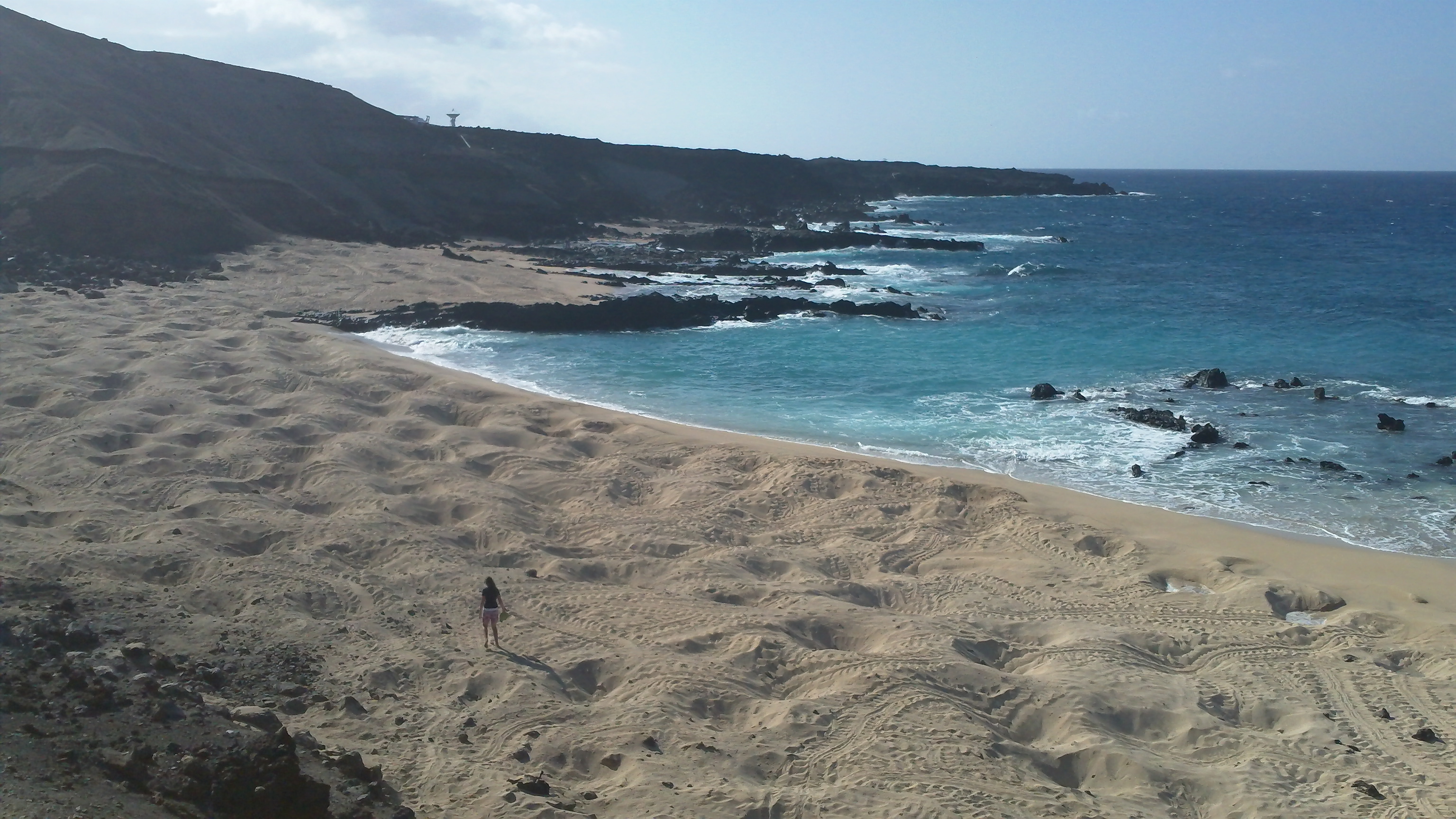 Densely nested beaches in Ascension Island (Brendan Godley)